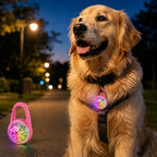Rechargeable Clip-On LED Dog Safety Light for Night Walks – Keeps Pets Visible During Evening Walks, Jogging & Outdoor A