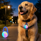 Rechargeable Clip-On LED Dog Safety Light for Night Walks – Keeps Pets Visible During Evening Walks, Jogging & Outdoor A