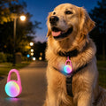 Rechargeable Clip-On LED Dog Safety Light for Night Walks – Keeps Pets Visible During Evening Walks, Jogging & Outdoor A