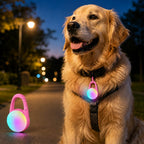 Rechargeable Clip-On LED Dog Safety Light for Night Walks – Keeps Pets Visible During Evening Walks, Jogging & Outdoor A