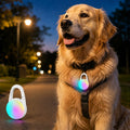 Rechargeable Clip-On LED Dog Safety Light for Night Walks – Keeps Pets Visible During Evening Walks, Jogging & Outdoor A