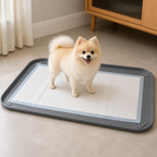Silicone Raised-Edge Non-Slip Pee Pad Holder (Corner Snaps)