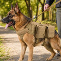 Tactical Dog Backpack Harness for Hiking & Daily Walks – Detachable Pouches for Gear & Better Control
