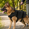 Tactical Dog Backpack Harness for Hiking & Daily Walks – Detachable Pouches for Gear & Better Control