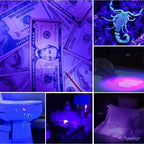 UV Torch for Bed Bug Detection and Stain Finder
