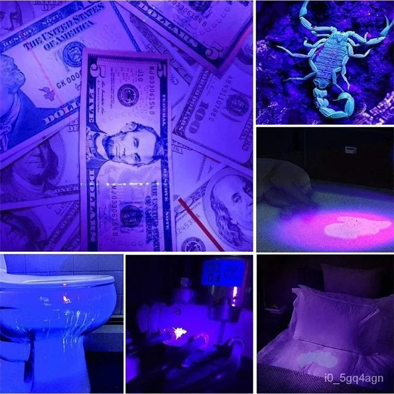 UV Torch for Bed Bug Detection and Stain Finder