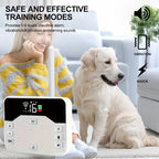 Wireless Dog Fence & Training Collar – IP65 Waterproof – 300 m Range – Rechargeable – For 1 or 2 Dogs