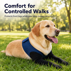 PawGuard Dual Front Leg Recovery Sleeves for Dogs - Cone-Free Anti-Lick Protection for Post-Surgery, Scratching & Sensit