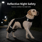 RearGuard Dog Rear Leg Support Brace - Anti-Slip Hind Leg Stability Wrap for Senior Dogs, Hardwood Floors & Recovery Wal