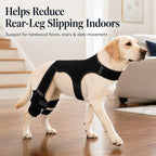 RearGuard Dog Rear Leg Support Brace - Anti-Slip Hind Leg Stability Wrap for Senior Dogs, Hardwood Floors & Recovery Wal