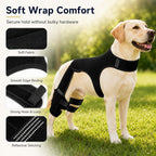 RearGuard Dog Rear Leg Support Brace - Anti-Slip Hind Leg Stability Wrap for Senior Dogs, Hardwood Floors & Recovery Wal