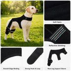 RearGuard Dog Rear Leg Support Brace - Anti-Slip Hind Leg Stability Wrap for Senior Dogs, Hardwood Floors & Recovery Wal