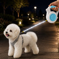 Rechargeable Light-Up Retractable Dog Leash for Night Walks - Helps Small Dogs Stay Visible & Easy to Control