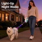Rechargeable Light-Up Retractable Dog Leash for Night Walks - Helps Small Dogs Stay Visible & Easy to Control