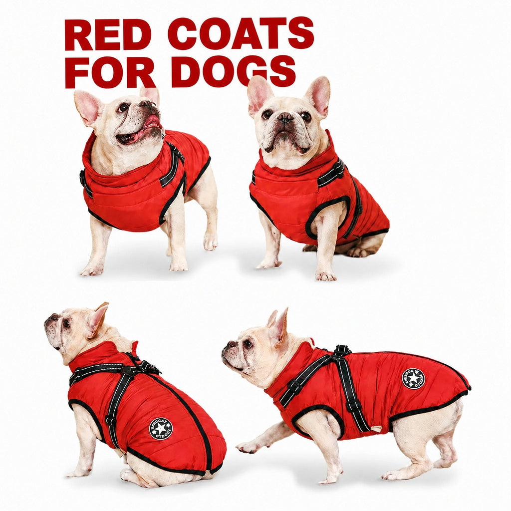 3-in-1 Winter Coat for Dogs with Harness | Padded, Waterproof and Windproof