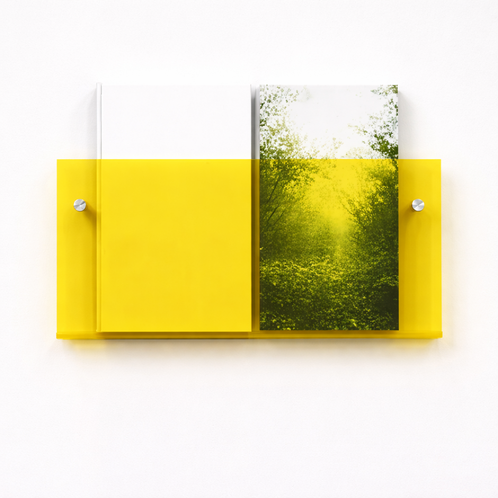 Wall Shelf Acrylic Floating Magazine Display Storage Organiser