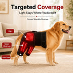 Wearable red light therapy sleeve for dogs, used for home care of the lower back and hind legs/hips.